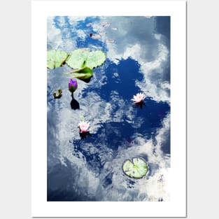 Water Lily Posters and Art